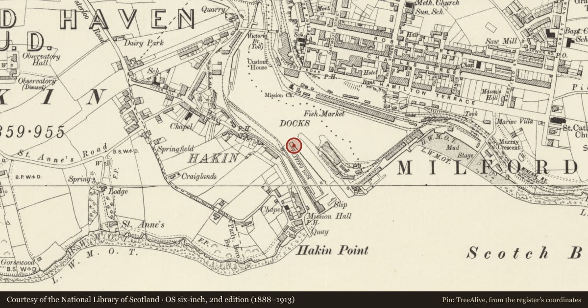 Ordnance Survey six-inch map, 2nd edition (1888–1913) covering the location of One of 28 Bollards Flanking Entrance Lock, Milford Haven, Pembrokeshire, with a pin at the register's coordinates