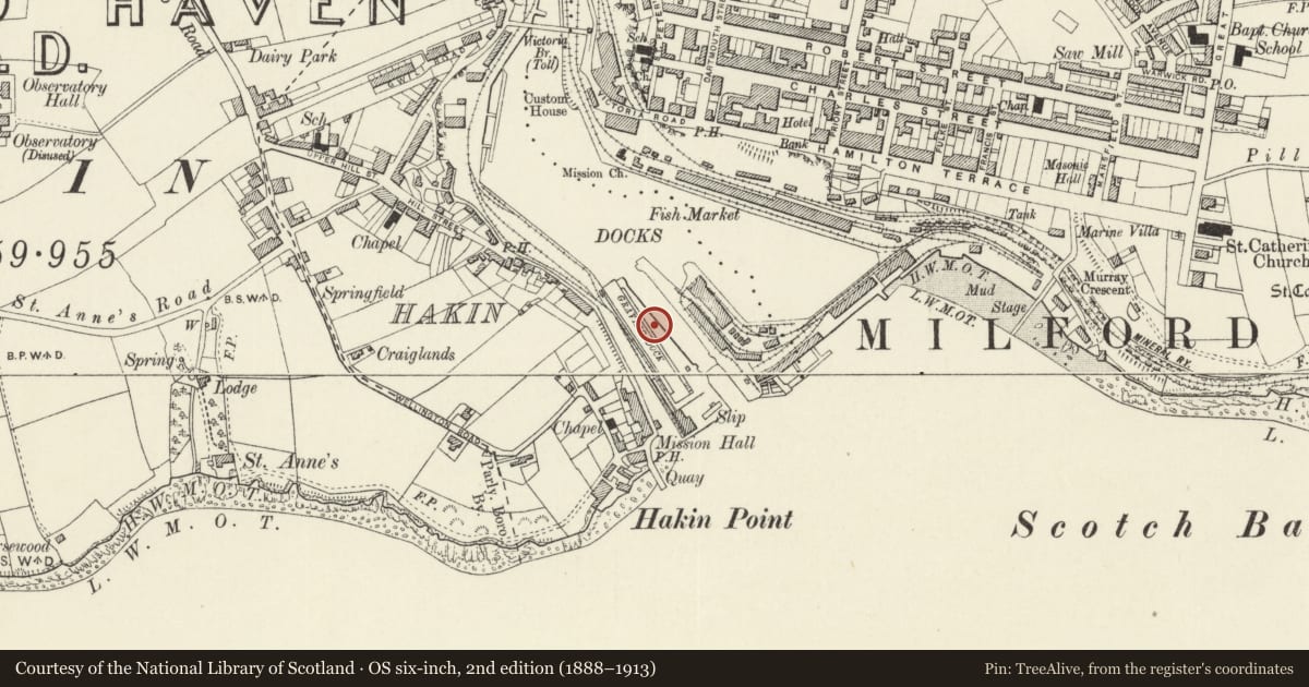 Ordnance Survey six-inch map, 2nd edition (1888–1913) covering the location of One of 28 Bollards Flanking Entrance Lock, Milford Haven, Pembrokeshire, with a pin at the register's coordinates
