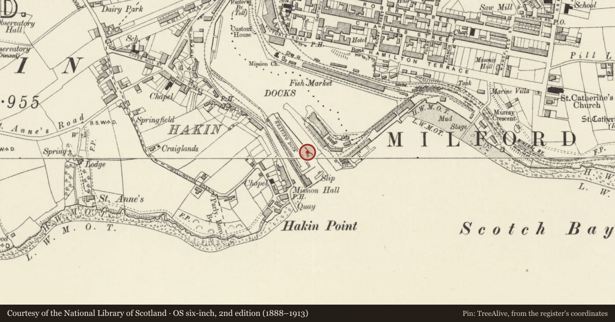 Ordnance Survey six-inch map, 2nd edition (1888–1913) covering the location of One of 28 Bollards Flanking Entrance Lock, Milford Haven, Pembrokeshire, with a pin at the register's coordinates