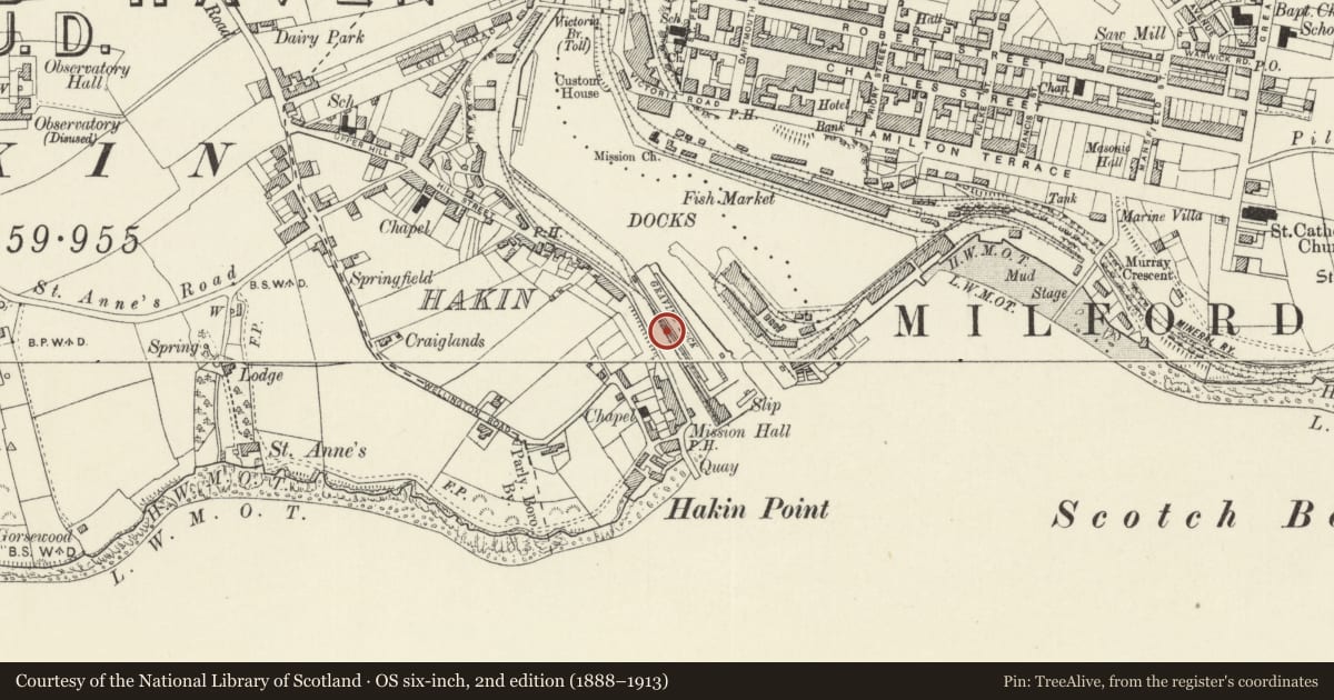 Ordnance Survey six-inch map, 2nd edition (1888–1913) covering the location of One of 5 Bollards along SW.Side of Graving Dock at Milford Docks, Milford Haven, Pembrokeshire, with a pin at the register's coordinates