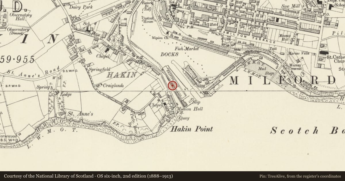 Ordnance Survey six-inch map, 2nd edition (1888–1913) covering the location of One of 5 Bollards along SW.Side of Graving Dock at Milford Docks, Milford Haven, Pembrokeshire, with a pin at the register's coordinates