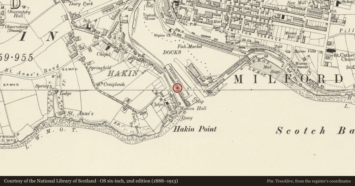 Ordnance Survey six-inch map, 2nd edition (1888–1913) covering the location of One of 5 Bollards along SW.Side of Graving Dock at Milford Docks, Milford Haven, Pembrokeshire, with a pin at the register's coordinates