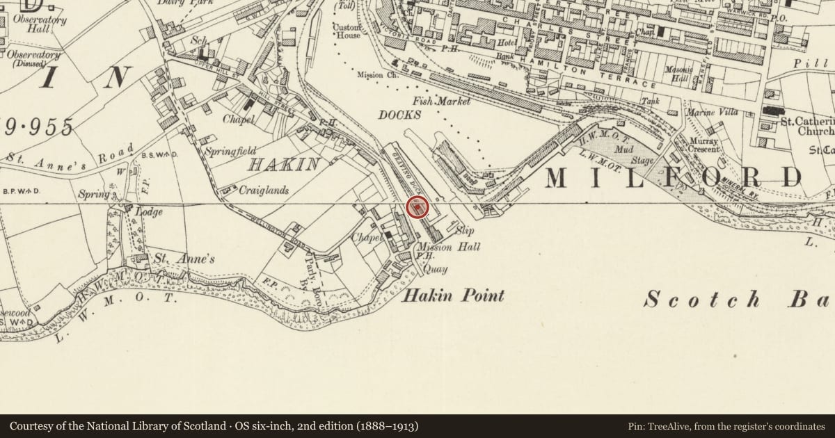 Ordnance Survey six-inch map, 2nd edition (1888–1913) covering the location of One of 5 Bollards along SW.Side of Graving Dock at Milford Docks, Milford Haven, Pembrokeshire, with a pin at the register's coordinates