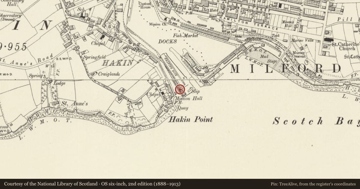 Ordnance Survey six-inch map, 2nd edition (1888–1913) covering the location of One of 5 Bollards along SW.Side of Graving Dock at Milford Docks, Milford Haven, Pembrokeshire, with a pin at the register's coordinates