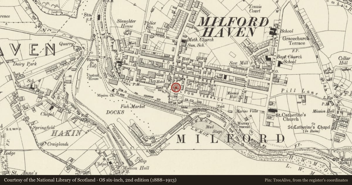Ordnance Survey six-inch map, 2nd edition (1888–1913) covering the location of No.17 including area railings, Milford Haven, Pembrokeshire, with a pin at the register's coordinates