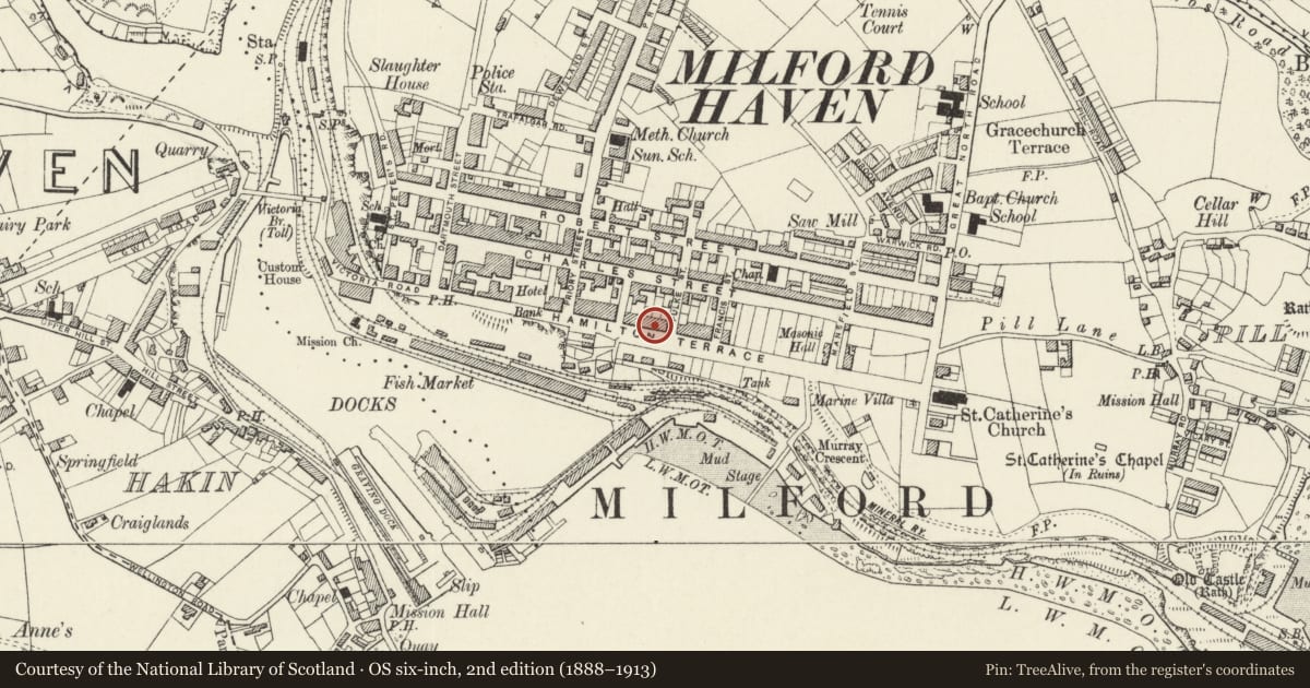 Ordnance Survey six-inch map, 2nd edition (1888–1913) covering the location of 25 Hamilton Terrace, Milford Haven, Pembrokeshire, with a pin at the register's coordinates