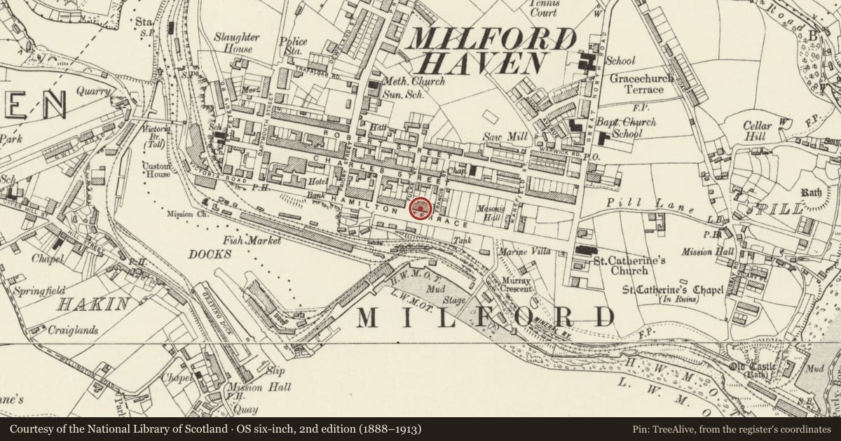 Ordnance Survey six-inch map, 2nd edition (1888–1913) covering the location of Belhaven Hotel, Milford Haven, Pembrokeshire, with a pin at the register's coordinates