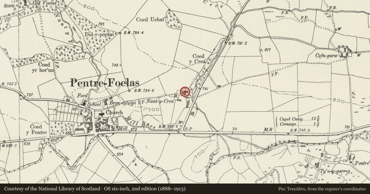 Ordnance Survey six-inch map, 2nd edition (1888–1913) covering the location of L-shaped range of farmyard buildings at Nant-y-creau, Pentrefoelas, Conwy, with a pin at the register's coordinates