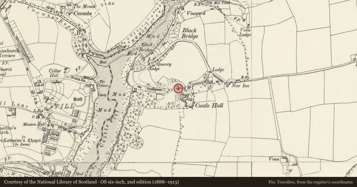 Ordnance Survey six-inch map, 2nd edition (1888–1913) covering the location of Main Gateway & Flanking Walls and Terrace at Castle Hall House, Milford Haven, Pembrokeshire, with a pin at the register's coordinates