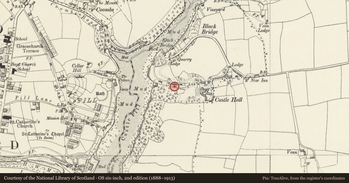 Ordnance Survey six-inch map, 2nd edition (1888–1913) covering the location of One of two linked terraced Garden Buildings on N.Side of Park at Castle Hall, Milford Haven, Pembrokeshire, with a pin at the register's coordinates