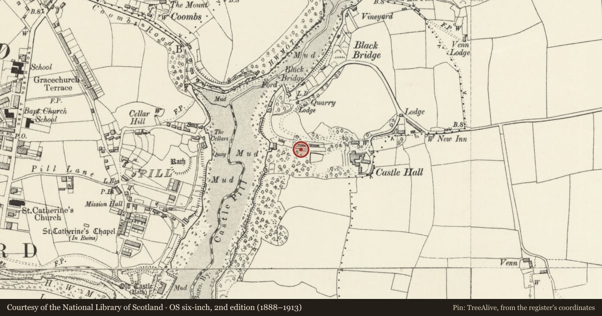 Ordnance Survey six-inch map, 2nd edition (1888–1913) covering the location of One of two linked Terraced Garden Buildings on N.Side of Park at Castle Hall, Milford Haven, Pembrokeshire, with a pin at the register's coordinates