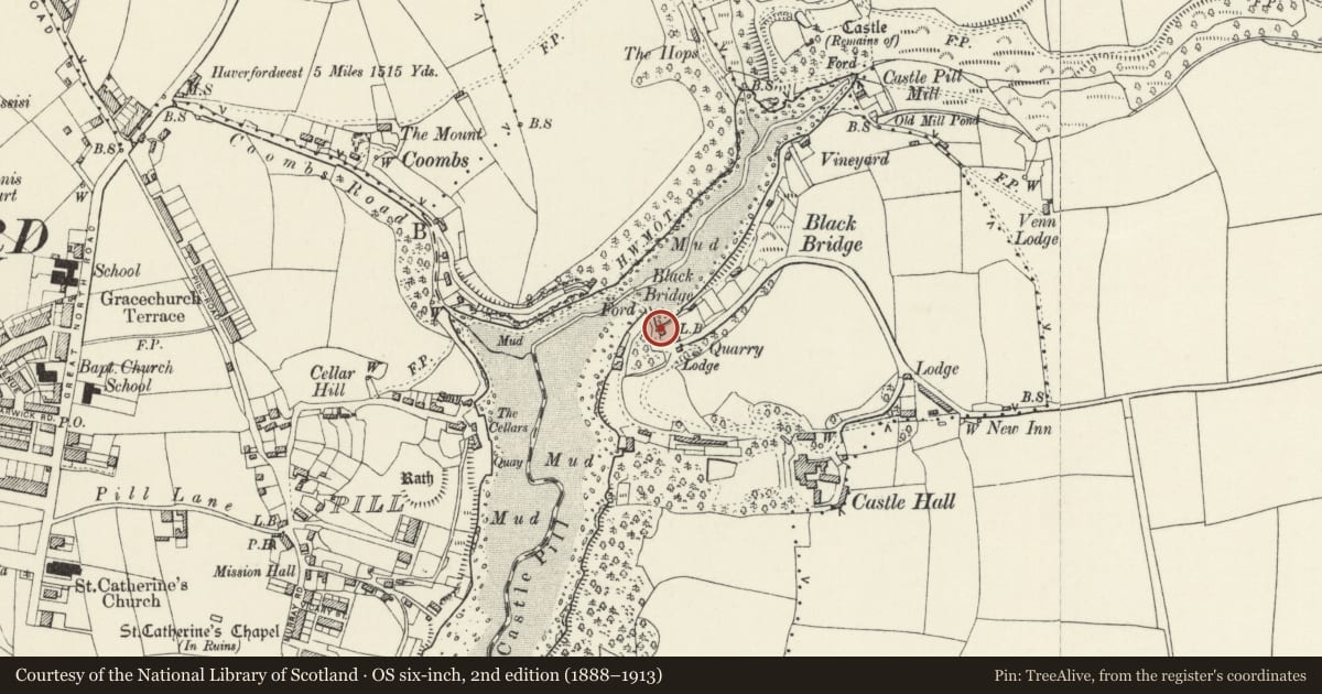 Ordnance Survey six-inch map, 2nd edition (1888–1913) covering the location of Black Bridge, Milford Haven, Pembrokeshire, with a pin at the register's coordinates
