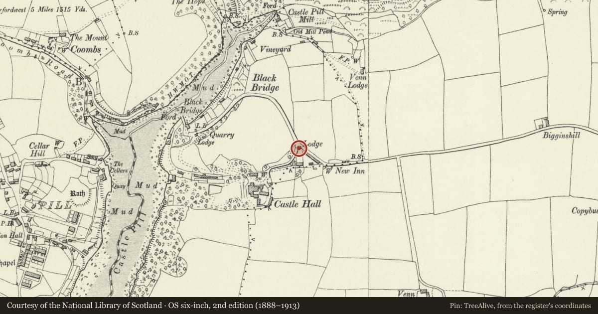 Ordnance Survey six-inch map, 2nd edition (1888–1913) covering the location of Castle Hall Lodge, Milford Haven, Pembrokeshire, with a pin at the register's coordinates