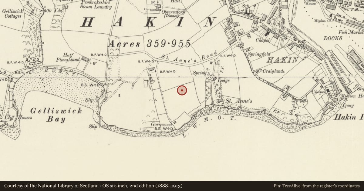 Ordnance Survey six-inch map, 2nd edition (1888–1913) covering the location of 21 Westaway Drive (Westaway), Milford Haven, Pembrokeshire, with a pin at the register's coordinates
