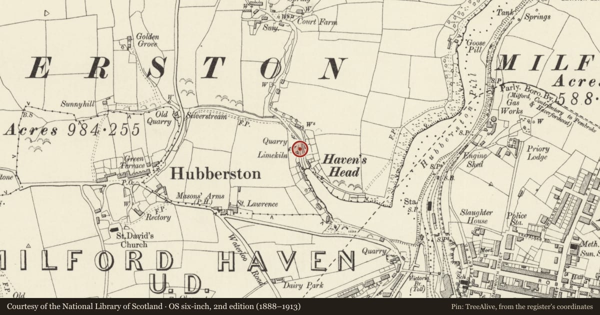 Ordnance Survey six-inch map, 2nd edition (1888–1913) covering the location of Limekiln, Milford Haven, Pembrokeshire, with a pin at the register's coordinates