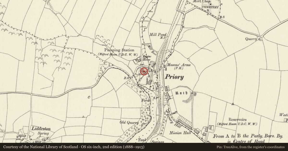 Ordnance Survey six-inch map, 2nd edition (1888–1913) covering the location of The Steps (including property formerly known as Brook Villa), Milford Haven, Pembrokeshire, with a pin at the register's coordinates