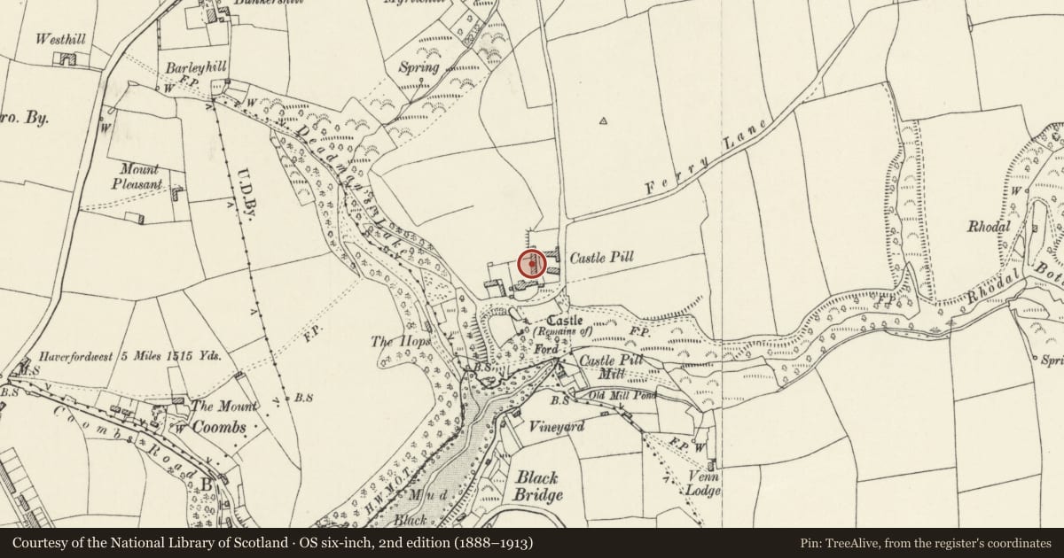Ordnance Survey six-inch map, 2nd edition (1888–1913) covering the location of Range of outbuildings on W.Side of Farmyard at Castle Pill Farm, Milford Haven, Pembrokeshire, with a pin at the register's coordinates