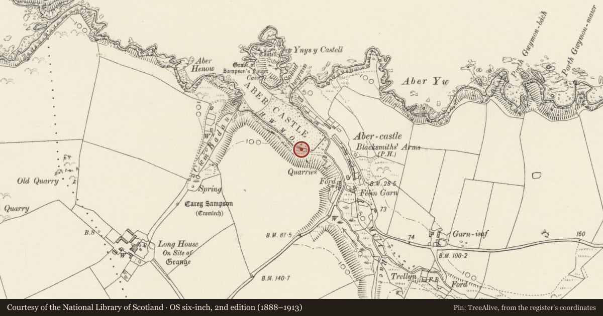 Ordnance Survey six-inch map, 2nd edition (1888–1913) covering the location of Lime-Kiln between Coastal Slope & The Beach, Mathry, Pembrokeshire, with a pin at the register's coordinates