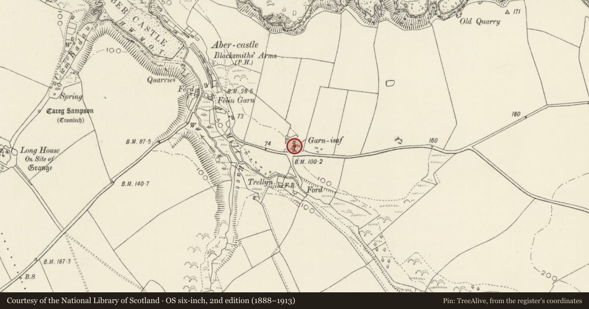 Ordnance Survey six-inch map, 2nd edition (1888–1913) covering the location of Y Garn, Mathry, Pembrokeshire, with a pin at the register's coordinates