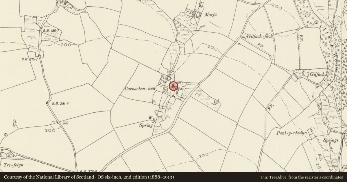 Ordnance Survey six-inch map, 2nd edition (1888–1913) covering the location of Pigsties at Carnachenwen, Mathry, Pembrokeshire, with a pin at the register's coordinates