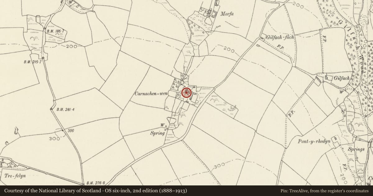 Ordnance Survey six-inch map, 2nd edition (1888–1913) covering the location of Small Outbuildings to SW.of Carnachenwen Farmhouse, Mathry, Pembrokeshire, with a pin at the register's coordinates