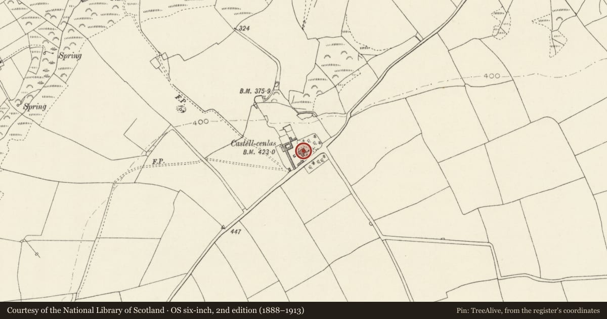 Ordnance Survey six-inch map, 2nd edition (1888–1913) covering the location of Castle Cenlas, Mathry, Pembrokeshire, with a pin at the register's coordinates
