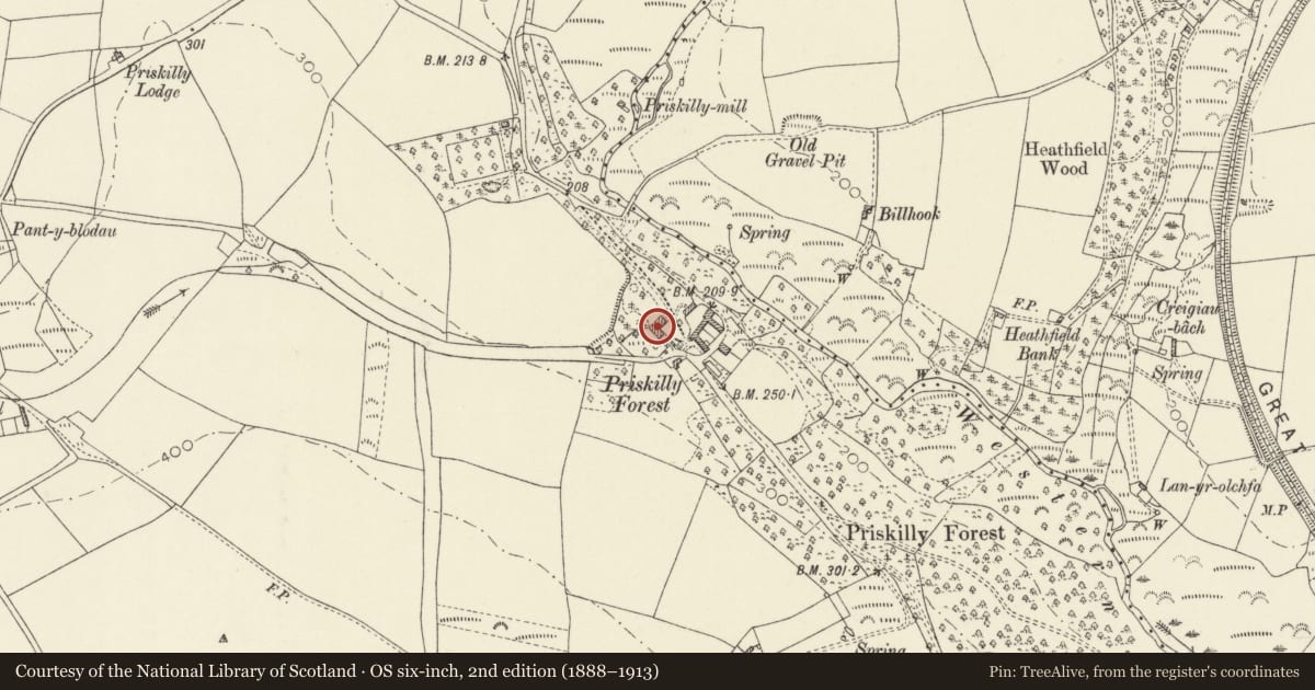 Ordnance Survey six-inch map, 2nd edition (1888–1913) covering the location of Priskilly Forest, Mathry, Pembrokeshire, with a pin at the register's coordinates