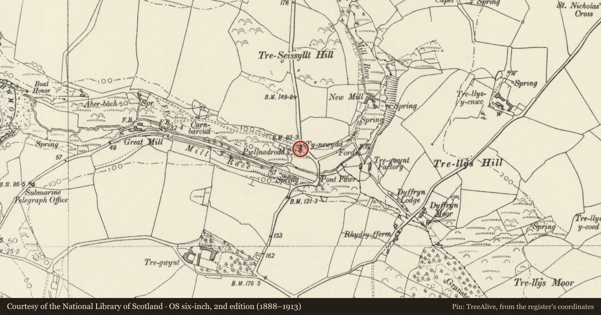 Ordnance Survey six-inch map, 2nd edition (1888–1913) covering the location of Ty-Newydd, Pencaer, Pembrokeshire, with a pin at the register's coordinates