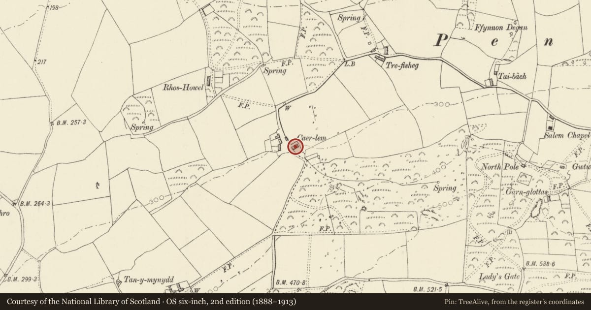 Ordnance Survey six-inch map, 2nd edition (1888–1913) covering the location of Caerlem, Pencaer, Pembrokeshire, with a pin at the register's coordinates