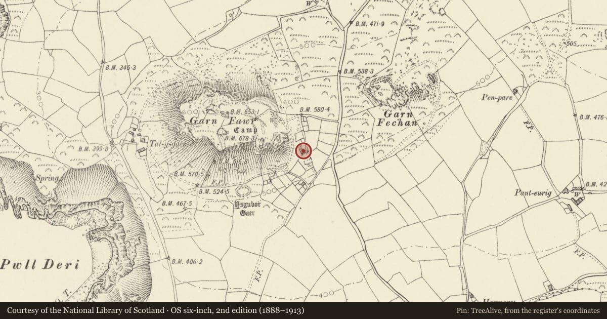 Ordnance Survey six-inch map, 2nd edition (1888–1913) covering the location of Studio Cottage to N.of Garn Fawr Cottage, Pencaer, Pembrokeshire, with a pin at the register's coordinates