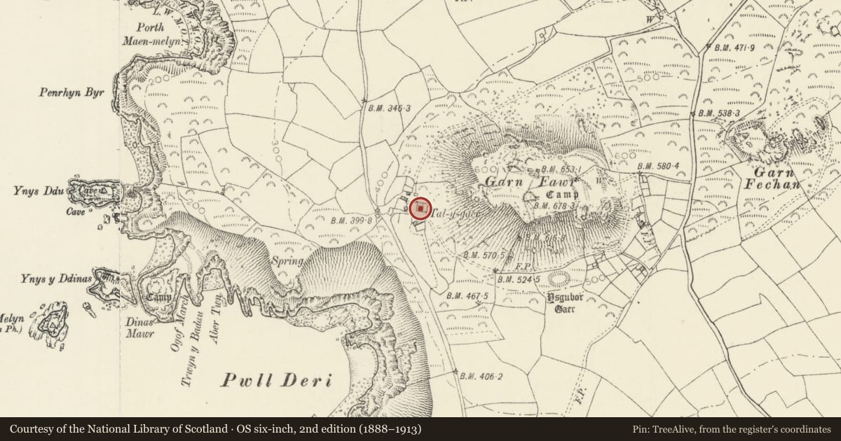Ordnance Survey six-inch map, 2nd edition (1888–1913) covering the location of Talygaer, Pwllderi, Pencaer, Pembrokeshire, with a pin at the register's coordinates