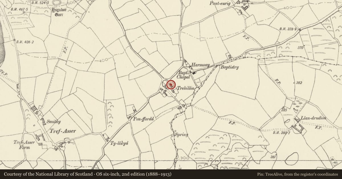 Ordnance Survey six-inch map, 2nd edition (1888–1913) covering the location of Trehilyn East, Pencaer, Pembrokeshire, with a pin at the register's coordinates