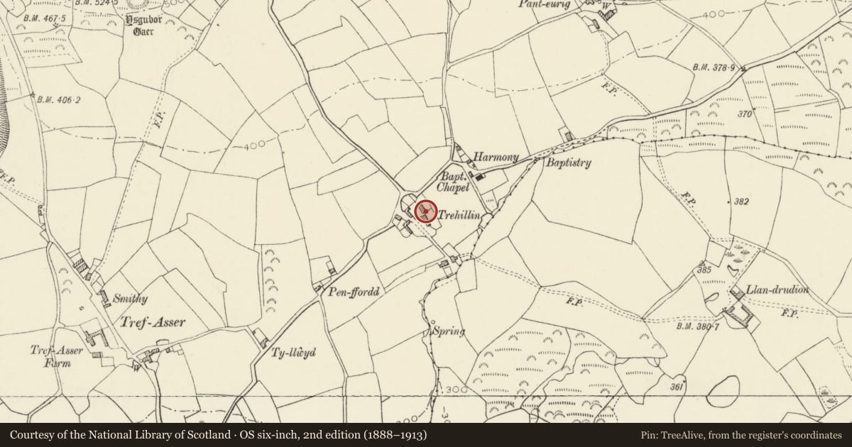 Ordnance Survey six-inch map, 2nd edition (1888–1913) covering the location of Low attached Outbuilding to right of Trehilyn East, Pencaer, Pembrokeshire, with a pin at the register's coordinates
