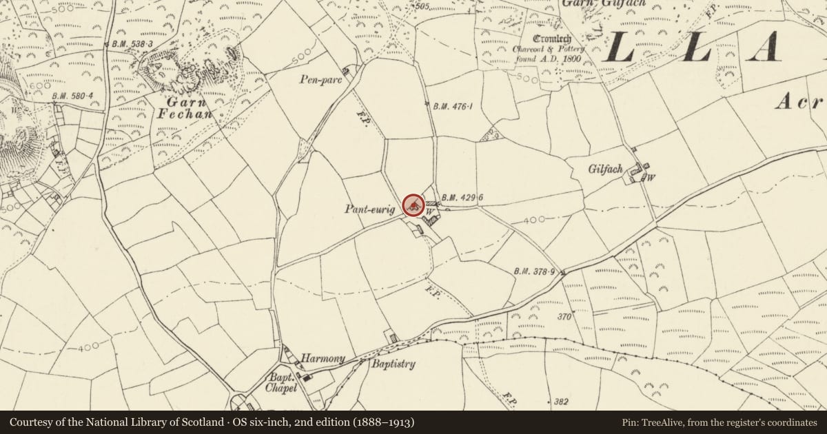 Ordnance Survey six-inch map, 2nd edition (1888–1913) covering the location of Panteurig, Pencaer, Pembrokeshire, with a pin at the register's coordinates