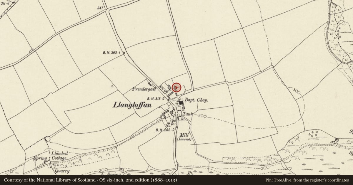 Ordnance Survey six-inch map, 2nd edition (1888–1913) covering the location of Outbuilding at N.End of E.Farmyard range at Llangloffan Farm Llangloffan, Pencaer, Pembrokeshire, with a pin at the register's coordinates