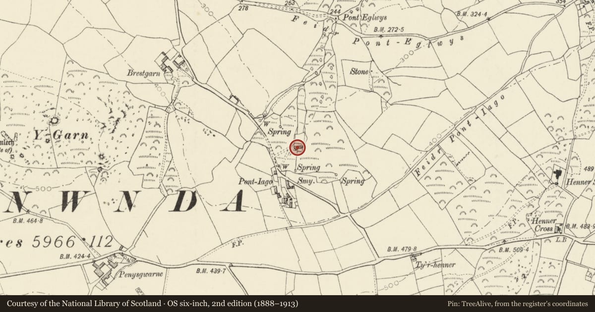 Ordnance Survey six-inch map, 2nd edition (1888–1913) covering the location of Pontiago Moor, Pencaer, Pembrokeshire, with a pin at the register's coordinates