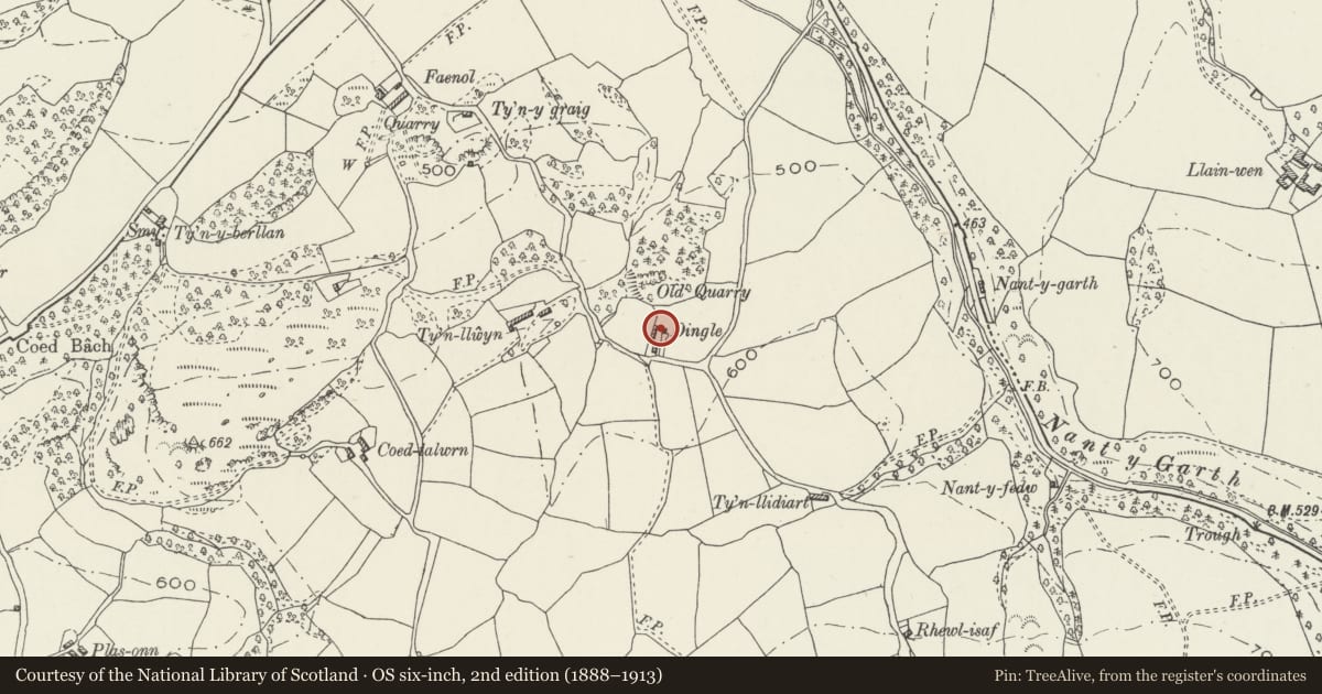 Ordnance Survey six-inch map, 2nd edition (1888–1913) covering the location of Dingle, Llanfair Dyffryn Clwyd, Denbighshire, with a pin at the register's coordinates