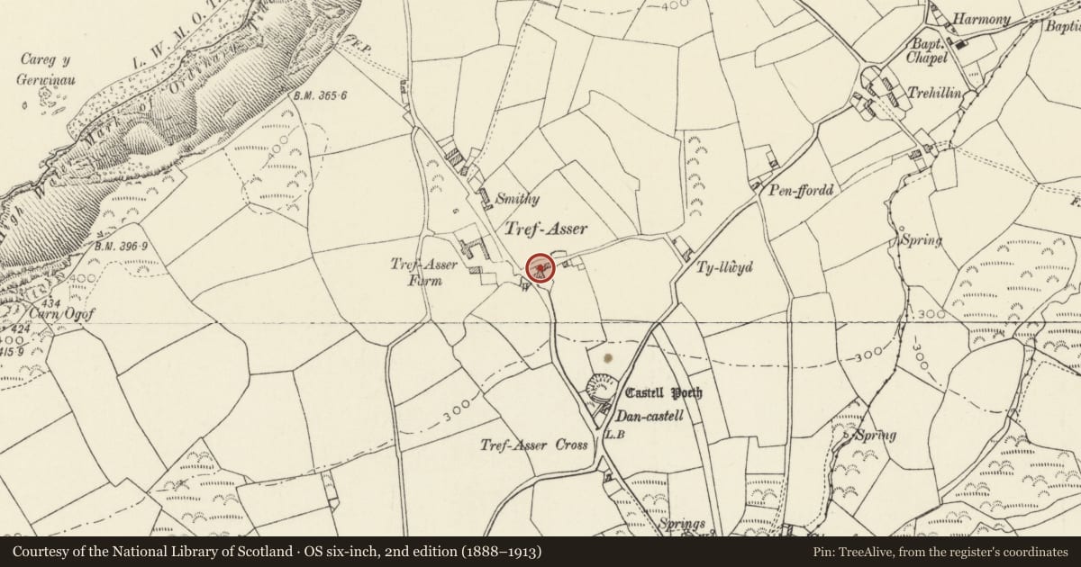 Ordnance Survey six-inch map, 2nd edition (1888–1913) covering the location of Trefasser Isaf, Pencaer, Pembrokeshire, with a pin at the register's coordinates