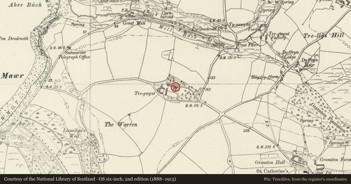 Ordnance Survey six-inch map, 2nd edition (1888–1913) covering the location of Tregwynt, Pencaer, Pembrokeshire, with a pin at the register's coordinates