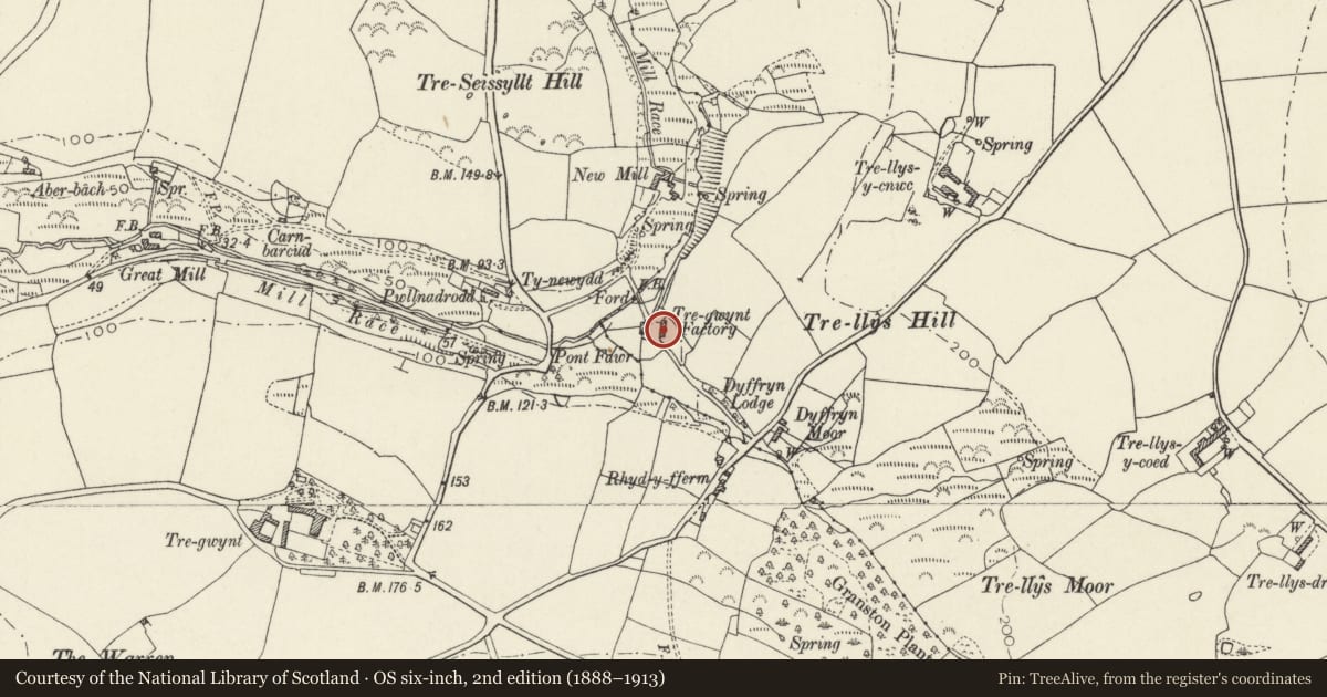 Ordnance Survey six-inch map, 2nd edition (1888–1913) covering the location of Tregwynt Woollen Mill, Pencaer, Pembrokeshire, with a pin at the register's coordinates