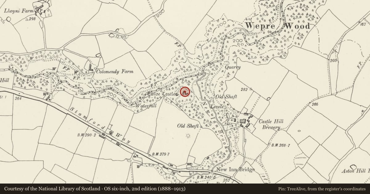 Ordnance Survey six-inch map, 2nd edition (1888–1913) covering the location of Ewloe Castle, Hawarden, Flintshire, with a pin at the register's coordinates