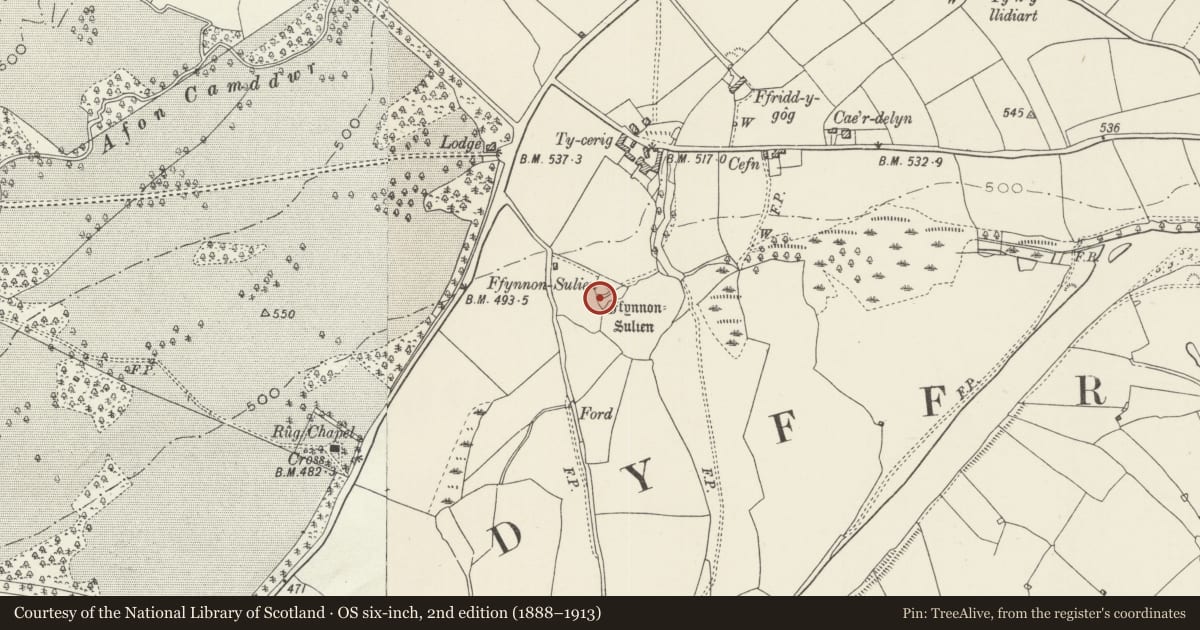 Ordnance Survey six-inch map, 2nd edition (1888–1913) covering the location of Well at Ffynnon Sulien, Corwen, Denbighshire, with a pin at the register's coordinates