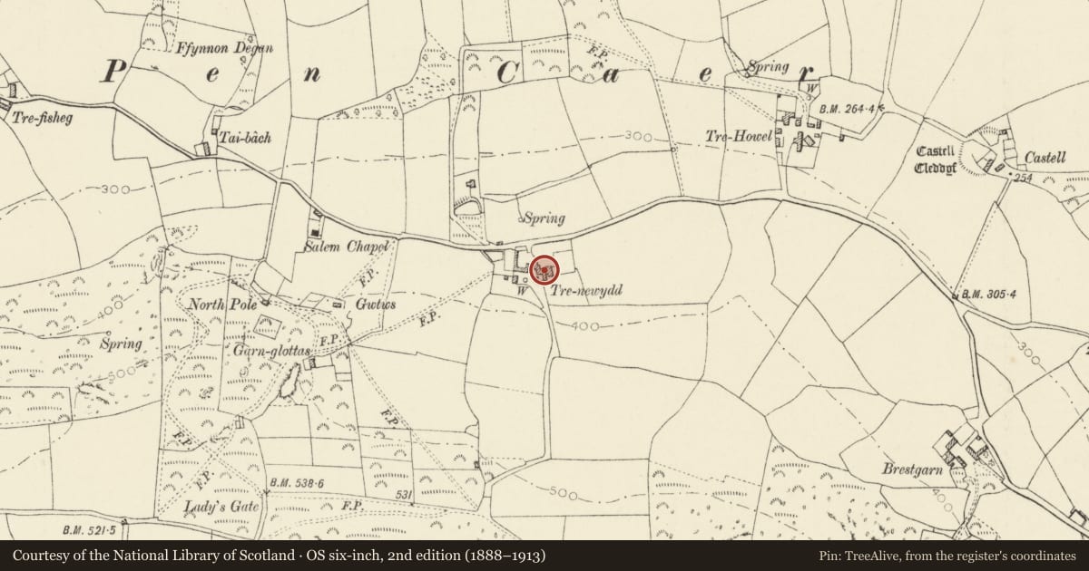 Ordnance Survey six-inch map, 2nd edition (1888–1913) covering the location of Trenewydd, Pencaer, Pembrokeshire, with a pin at the register's coordinates