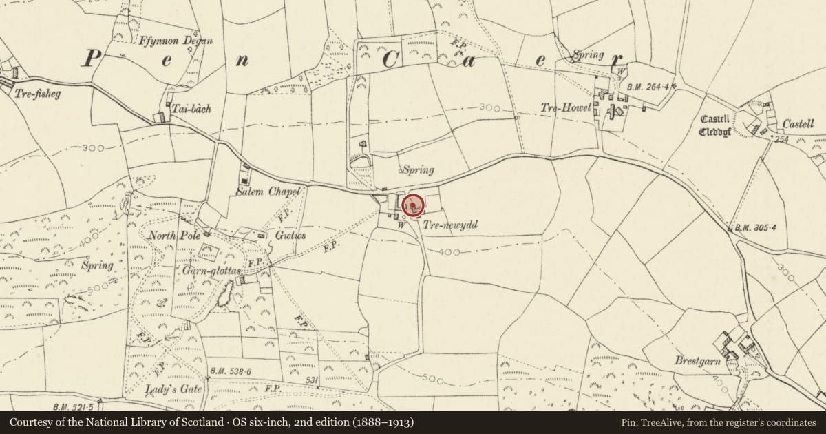 Ordnance Survey six-inch map, 2nd edition (1888–1913) covering the location of NW.Range & attached Walls to Walled Garden at Trenewydd, Pencaer, Pembrokeshire, with a pin at the register's coordinates