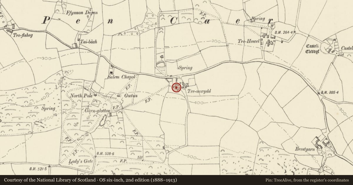 Ordnance Survey six-inch map, 2nd edition (1888–1913) covering the location of Outbuilding to S.of main Farmyard at Trenewydd, Pencaer, Pembrokeshire, with a pin at the register's coordinates