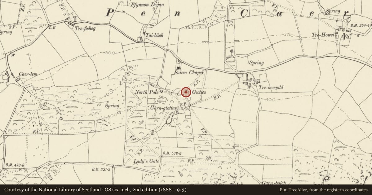 Ordnance Survey six-inch map, 2nd edition (1888–1913) covering the location of Gwttws, Pencaer, Pembrokeshire, with a pin at the register's coordinates