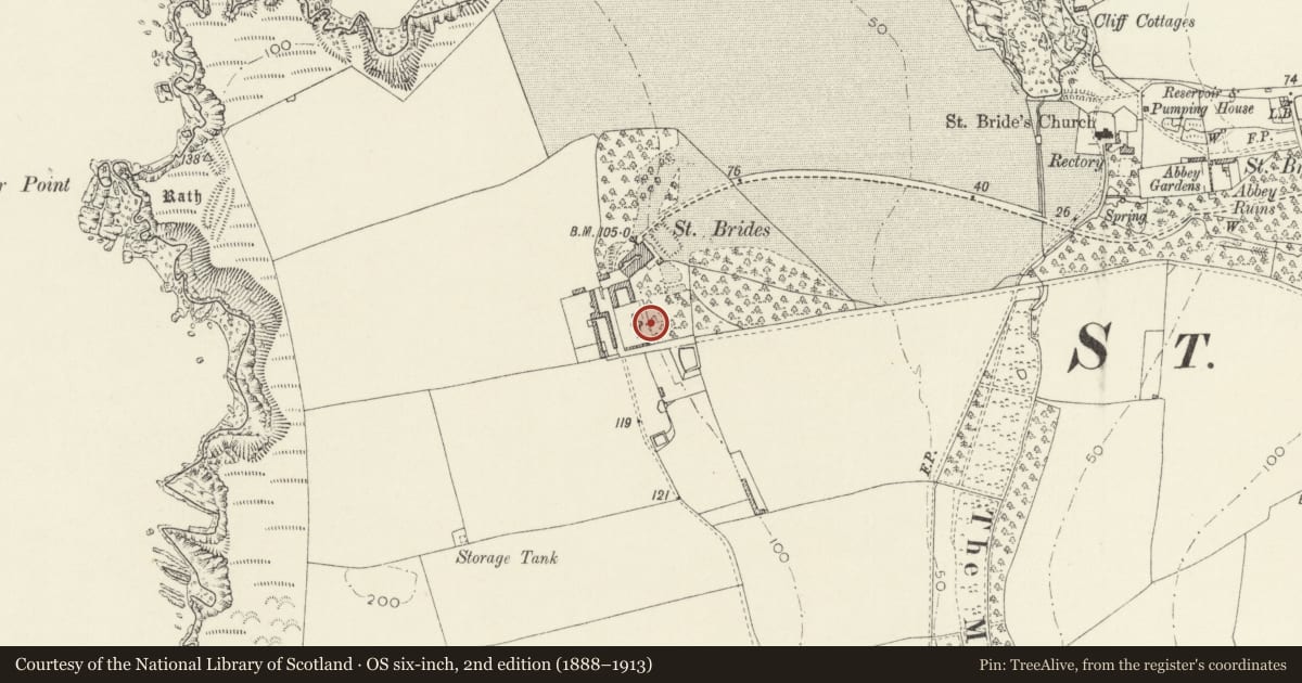 Ordnance Survey six-inch map, 2nd edition (1888–1913) covering the location of East wall of Kitchen Garden, St Brides Castle, Marloes and St. Brides, Pembrokeshire, with a pin at the register's coordinates