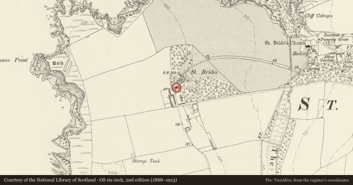 Ordnance Survey six-inch map, 2nd edition (1888–1913) covering the location of Entrance range to stable yard at St Brides Castle, Marloes and St. Brides, Pembrokeshire, with a pin at the register's coordinates