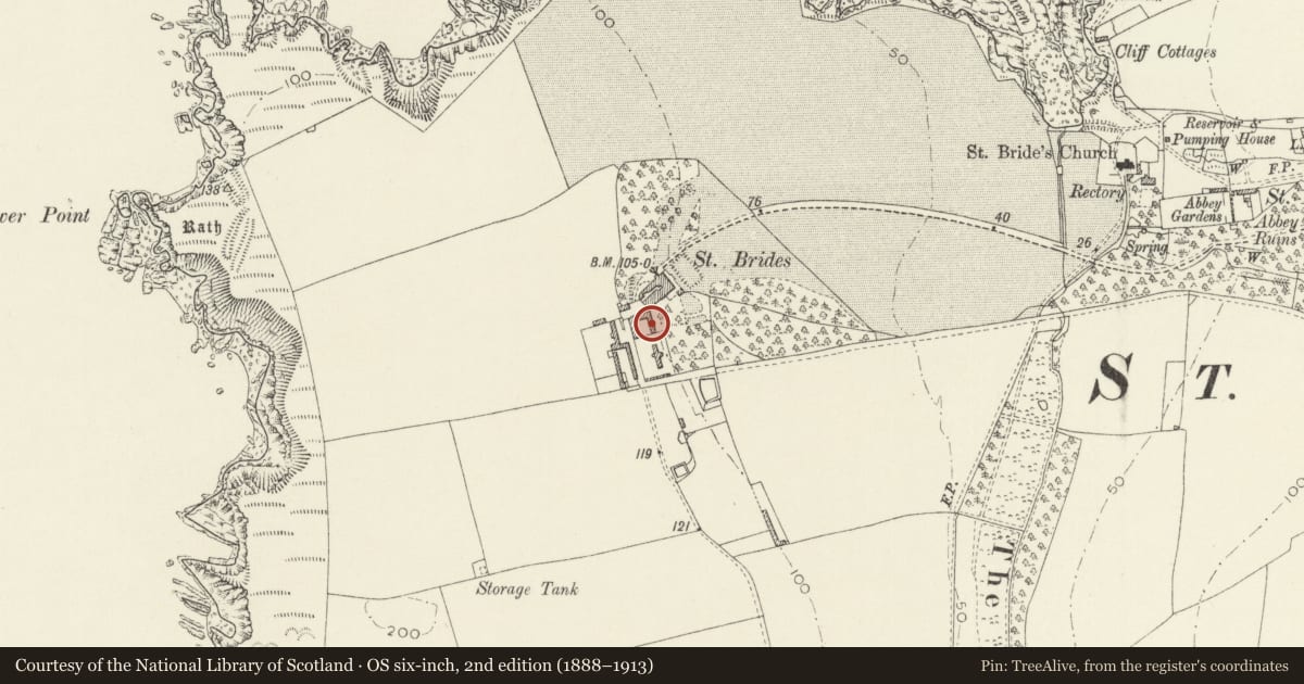 Ordnance Survey six-inch map, 2nd edition (1888–1913) covering the location of E range of stable yard at St Brides Castle, Marloes and St. Brides, Pembrokeshire, with a pin at the register's coordinates