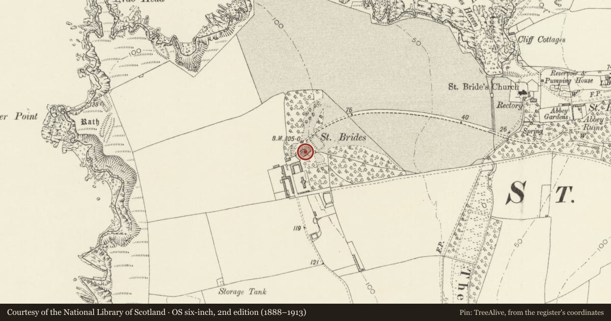 Ordnance Survey six-inch map, 2nd edition (1888–1913) covering the location of St Brides Castle, Marloes and St. Brides, Pembrokeshire, with a pin at the register's coordinates
